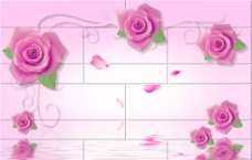 玫瑰水影 （分层图）图片