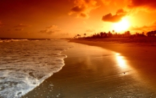夕阳下的沙滩图片