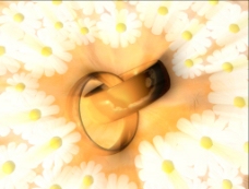 婚庆戒指视频