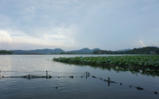 杭州 西湖图片