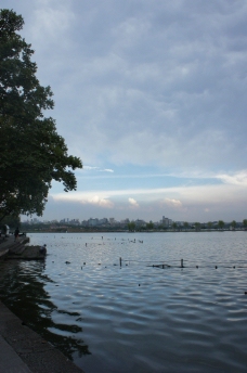 西湖 湖水图片