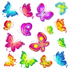 各种各样的蝴蝶图片