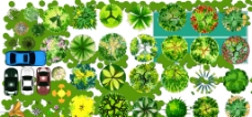 彩平植物素材图片