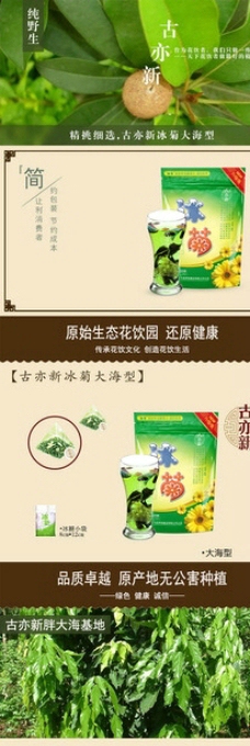 保健茶淘宝详情页图片
