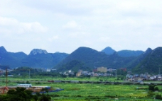 琴潭铁路沿途荷塘图片