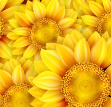 金色向日葵 无缝 背景图片