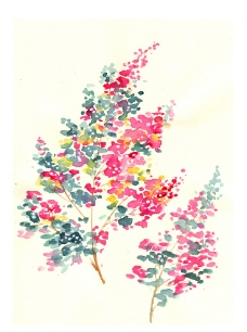 水彩 花卉图片