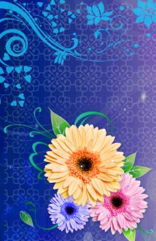 蓝底菊花图片