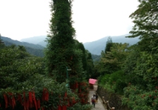 青城后山风景图片