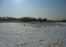 冬天 白雪图片