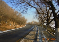 冬日 马路图片