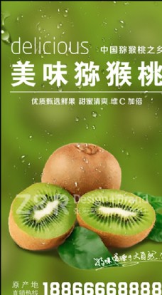 奇异果猕猴桃微信宣传海报