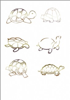 金色乌龟乌龟标志