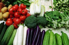 紫色绿色蔬菜红绿黄白紫青