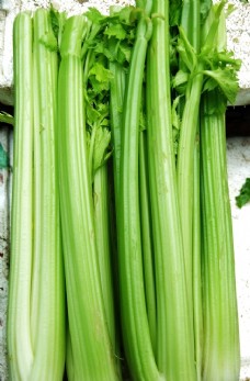 绿色蔬菜西芹菜